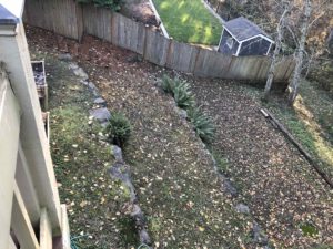 Backyard Landscape - Landscape Design - Seattle Outdoor Spaces